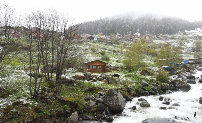 Trabzon yaylaları mayısta beyaza büründü