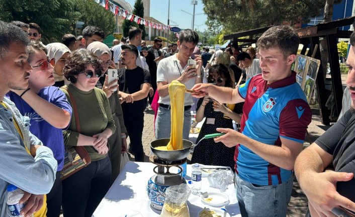 Türkiye'nin kültürel zenginliği Karabük'te festivalde sergileniyor