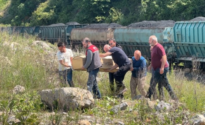 Zonguldak'ta yük treninin çarptığı 89 yaşındaki yaşlı kadın öldü