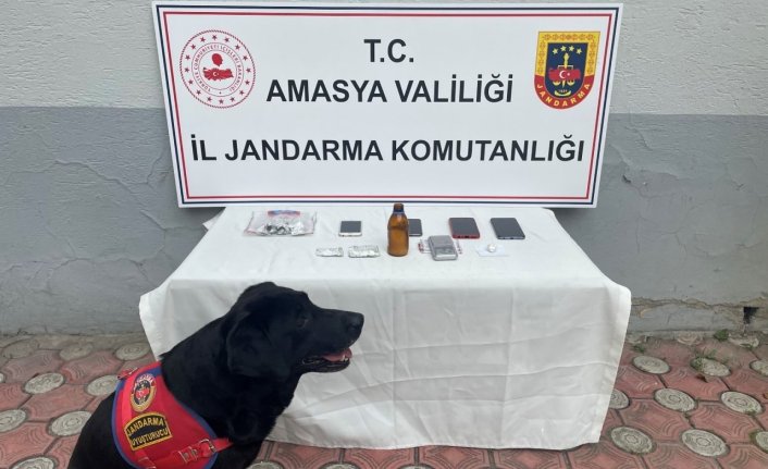 Amasya'da uyuşturucu operasyonunda 1 kişi tutuklandı