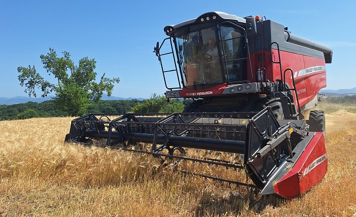 Bafra Ovası'nda 245 bin dekar alanda arpa ve buğday hasadına başlandı