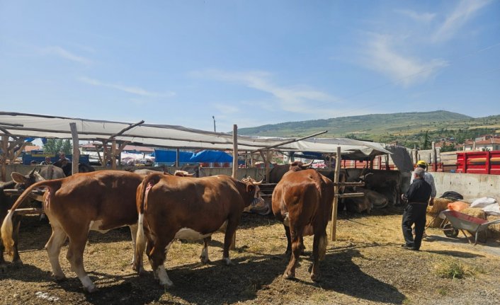 Bayat'ta kurbanlık pazarı hareketlendi