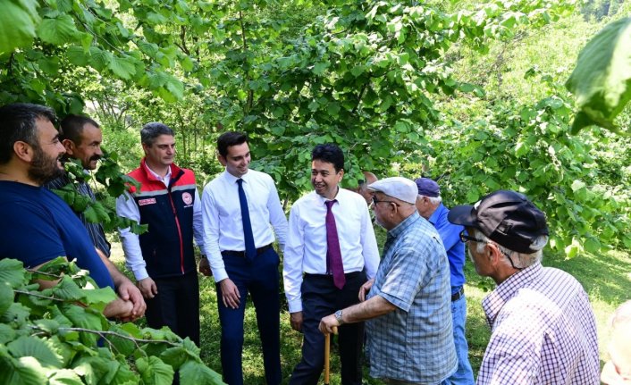 Dikmen'de 1000 samuray arısı doğaya bırakıldı