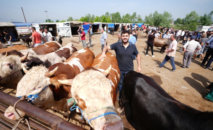 Düzce'de polis, kurban satıcılarını sahte para konusunda uyardı