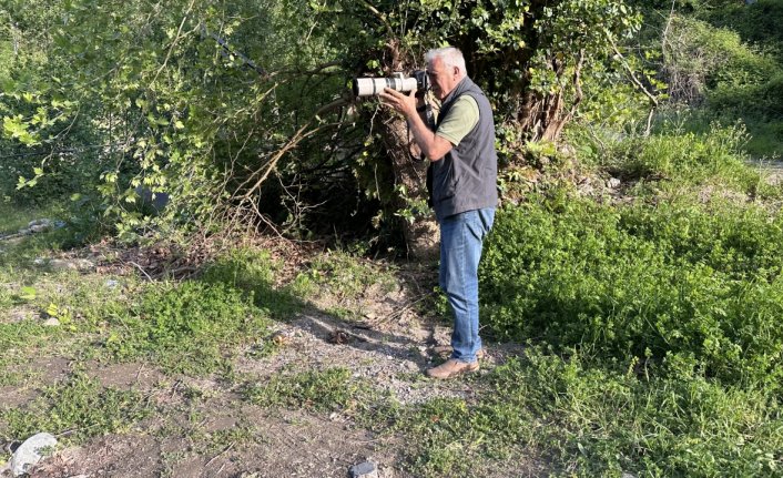 Fotoğrafladığı kuş türlerini kitapta bir araya getirdi