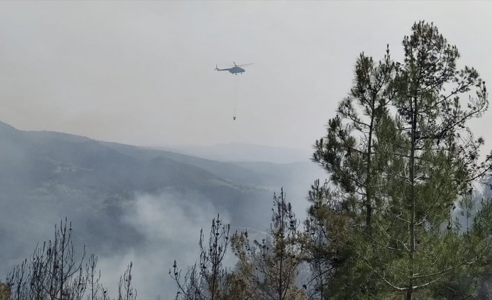 Sinop'ta çıkan orman yangını kontrol altına alındı