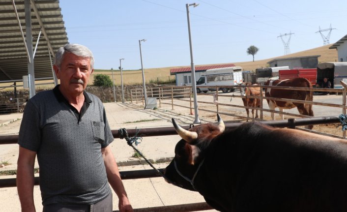 Havza Ziraat Odası Başkanı Genç'ten damızlıkların kurbanlık yapılmaması uyarısı