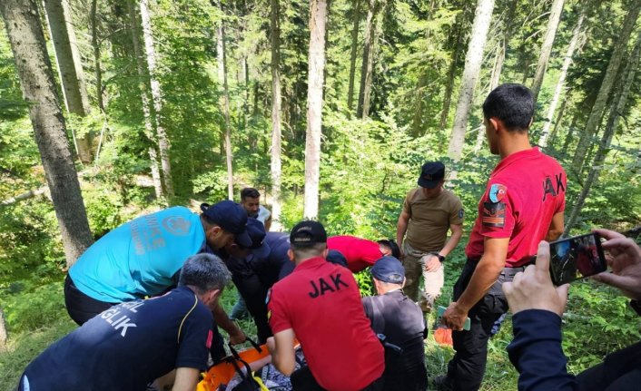 Kastamonu'da 8 gün önce kaybolan kadın baygın halde bulundu