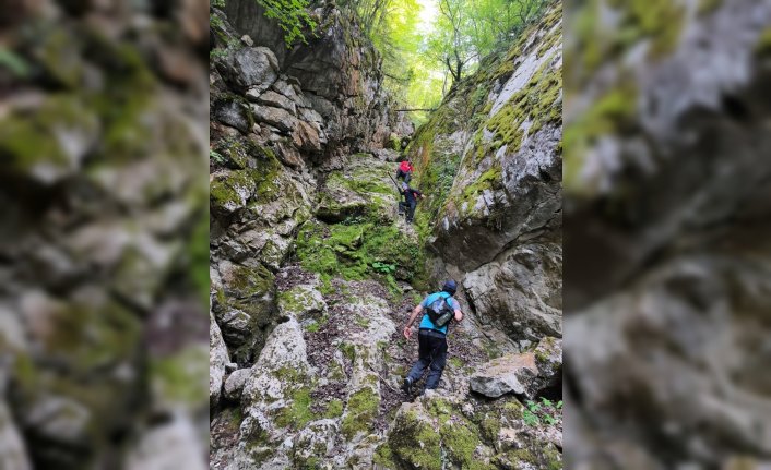 Kastamonu'da kaybolan kişinin bulunması için çalışma yapılıyor