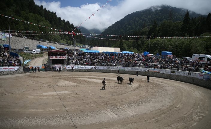 Rize'de “28. Çamlıhemşin Ayder Kültür, Sanat ve Doğa Festivali“ başladı