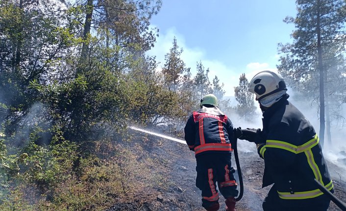 Tokat'ta ormanlık alanda çıkan yangın kontrol altına alınmaya çalışılıyor