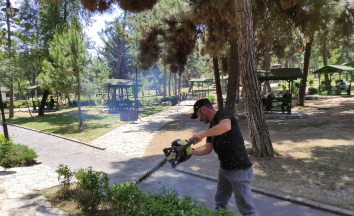 Vezirköprü Belediyesi park ve bahçelerde budama çalışması yapıyor