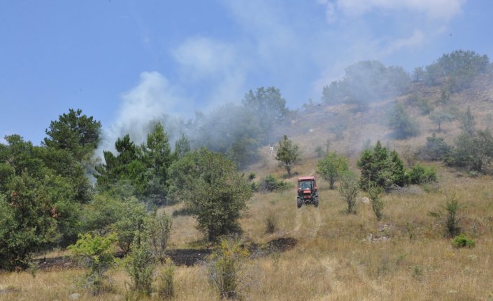 Amasya'da çıkan yangında 15 dönüm buğday ekili arazi zarar gördü