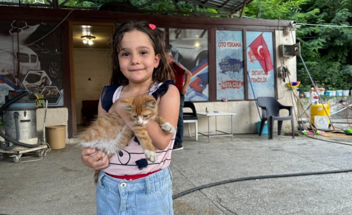 Artvin'de esnaf kalp masajıyla hayata döndürdüğü kedi yavrusuna iş yerinde bakıyor