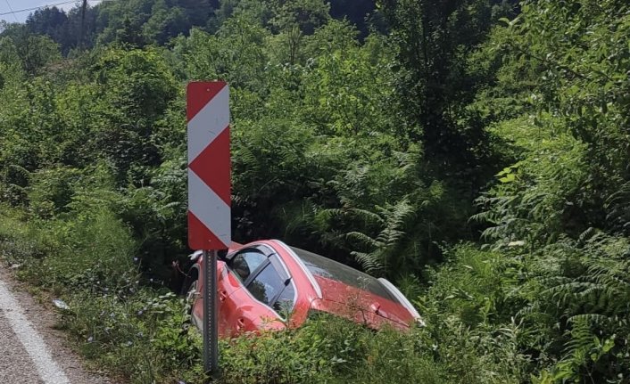 Ayancık'ta otomobilin devrildiği kazada 2 kişi yaralandı