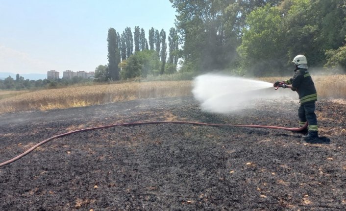 Bolu'da buğday tarlasında çıkan yangın söndürüldü