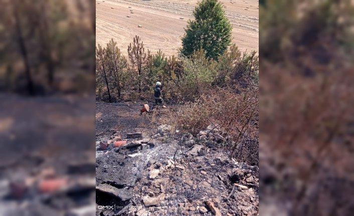 Bolu'da otoyolun kenarındaki otluk alanda çıkan yangın söndürüldü