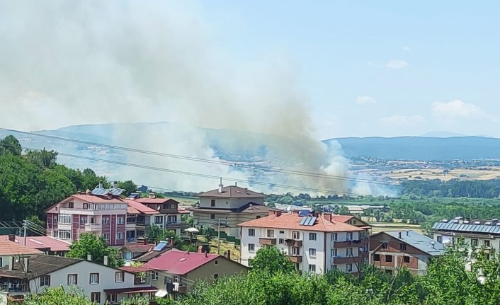 Bolu'da sazlık alanda çıkan yangın söndürüldü