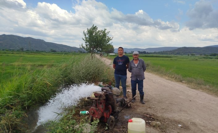 Boyabat'ta kuraklık nedeniyle çeltik tarlaları kuyu suyu ile sulanıyor