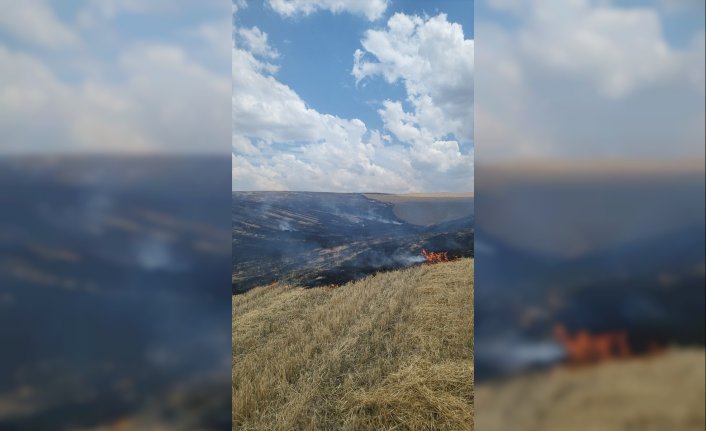 Çorum'da anız yangınında yaralanan kaplumbağayı itfaiye kurtardı