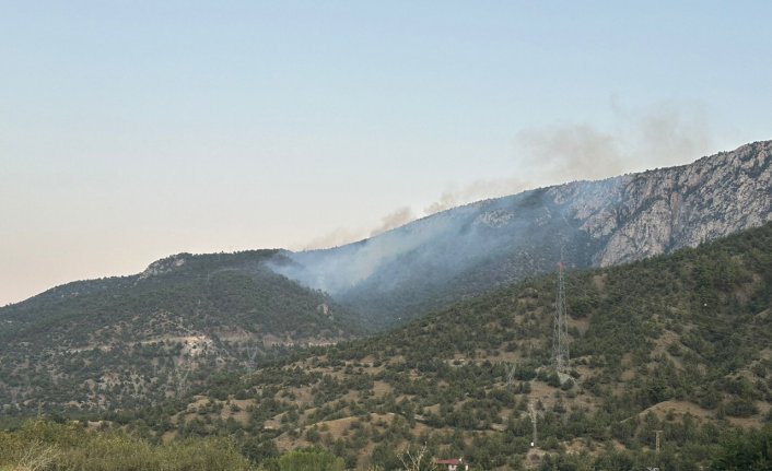 Çorum'da çıkan orman yangınına müdahale ediliyor