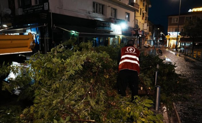 Düzce'de sağanak nedeniyle devrilen ağaç belediye ekiplerince kaldırıldı