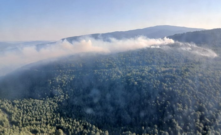 Karabük'te çıkan orman yangınına müdahale ediliyor