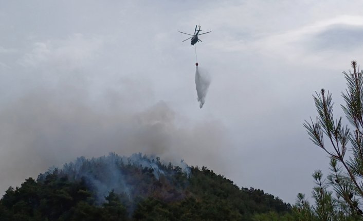 Karabük'te ormanlık alanda çıkan yangın kontrol altına alındı