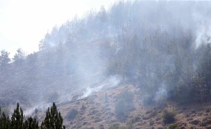 Kastamonu'da ormanlık alanda çıkan yangına müdahale ediliyor