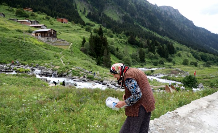 Kaçkar yaylalarında “Çöp torbası cebinde, doğa dostun elinde“ seferberliği