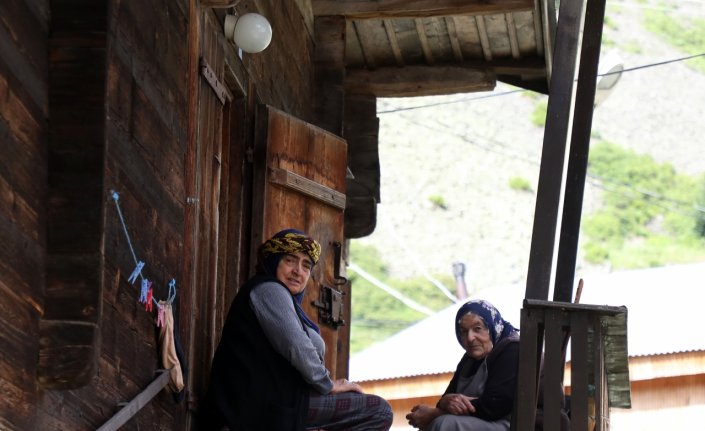 Kaçkar'daki yaylanın kadınları yarım asırdır hayvancılık yapıyor