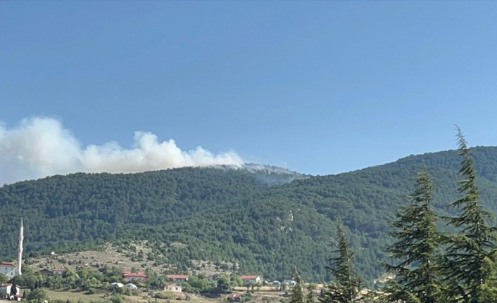 Karabük'te çıkan orman yangınına müdahale ediliyor