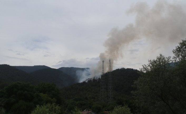 Karabük'te ormanlık alanda çıkan yangına müdahale ediliyor