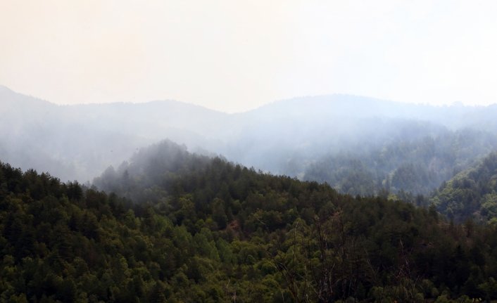 Kastamonu'da çıkan orman yangınına ekiplerin müdahalesi sürüyor