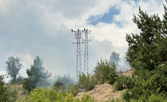 Kastamonu'da çıkan orman yangınına müdahale ediliyor