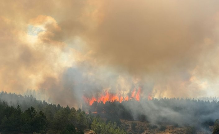 Kastamonu'da ormanlık alanda çıkan yangına müdahale ediliyor