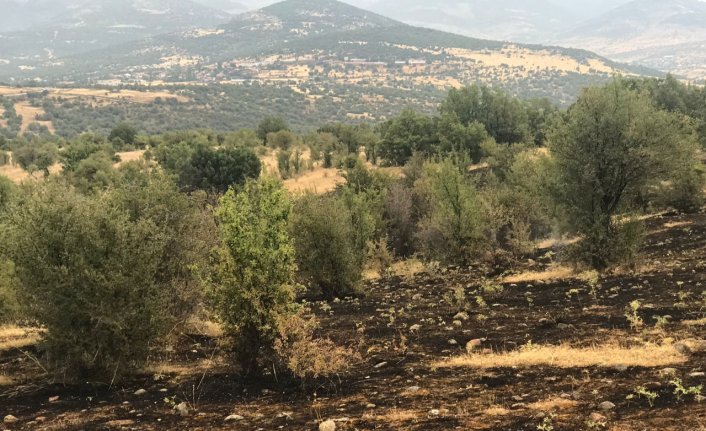 Kıbrıscık'ta çıkan örtü yangını söndürüldü