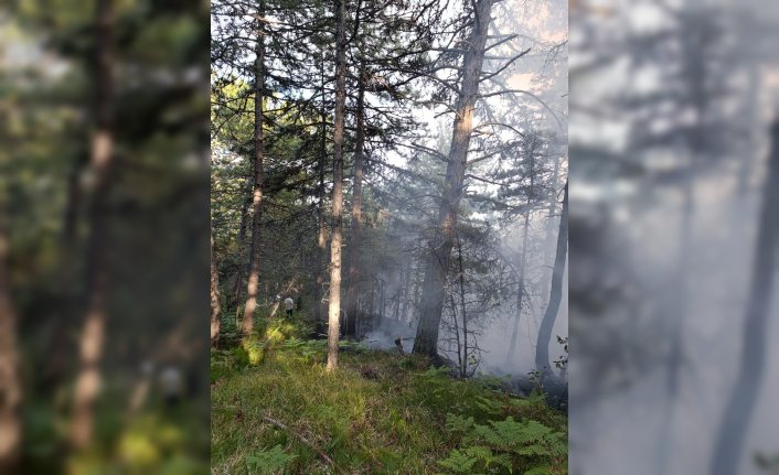 Mudurnu'da ormanlık alanda çıkan yangın söndürüldü