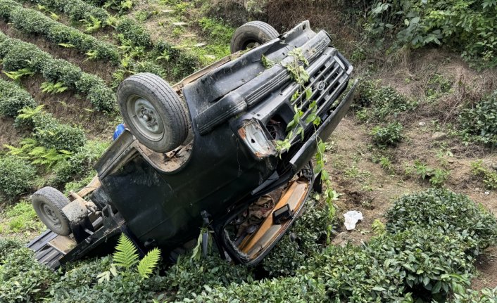 Rize'de çay bahçesine devrilen kamyonetteki 3 kişi yaralandı