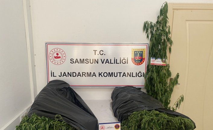 Samsun'da 5 kilo 500 gram esrar ele geçirildi