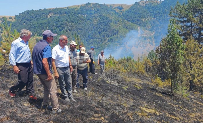 Yakakent'te ormanlık alanda çıkan yangın kontrol altına alındı