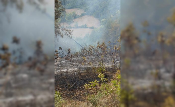 Sinop'ta çıkan orman yangını kontrol altına alındı