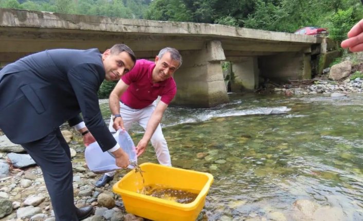 Trabzon'da 5 bin alabalık yavrusu Hayrat Deresi'ne bırakıldı