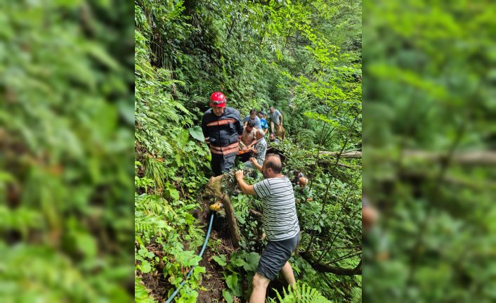 Trabzon'da uçuruma düşen yaşlı kadın kurtarıldı