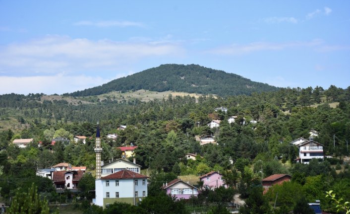 Yeşilin tüm tonlarını barındıran Çamiçi Yaylası ziyaretçilerini ağırlıyor