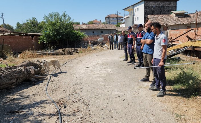 Amasya'da bağlandığı kamyonetin peşinde sürüklenen köpek tedaviye alındı