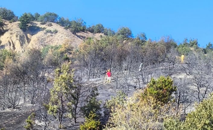 Amasya'da çıkan orman yangını söndürüldü