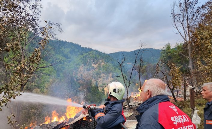 Artvin'in Şavşat ilçesindeki yangında 3 ev kullanılmaz hale geldi