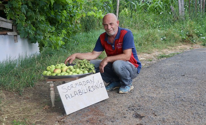 Bahçesinde yetiştirdiği ürünleri yoldan geçenlerle paylaşıyor