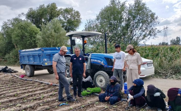 Bitkisel Üretim Genel Müdür Yardımcısı Emiralioğlu'ndan Amasya’ya ziyaret